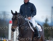 Dahila della Verdina Tosc Tour2013- S5 1772 : Arezzo, Cavalli d'Italia, Dahila della Verdina, Toscana Tour 2013, foto di Stefano Secchi ©